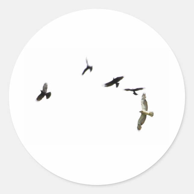 Ein Mord an Krähen Runder Aufkleber (Vorderseite)