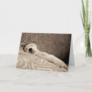 Ein müder Hund Karte