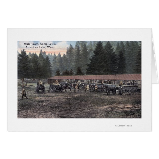 Ein Mule Team im Lager Lewis (Vorderseite (Horizontal))