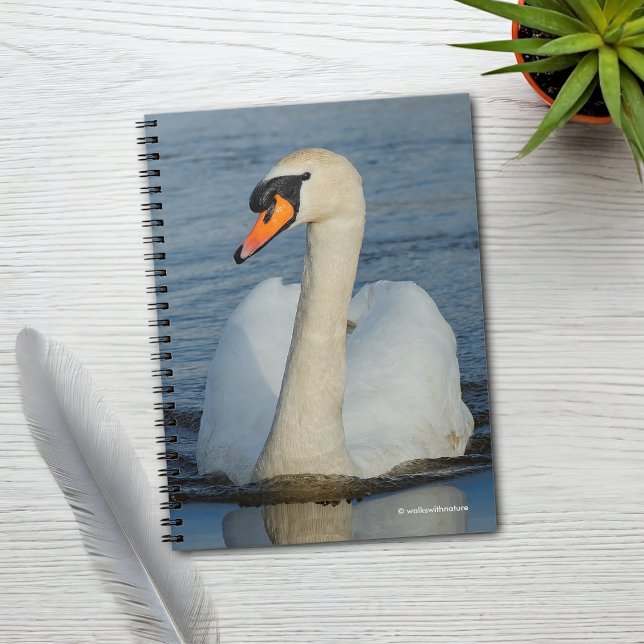 Ein Mute Swan nähert sich Notizblock (Mute Swan Approaches Journal Cover Photo)