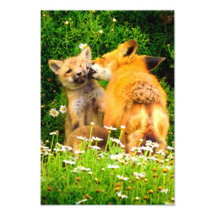 Ein Mutterkuss Wildlife Natur Kunst Druck