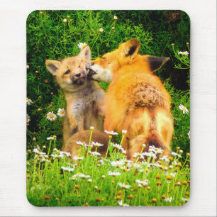 Ein mütterlicher Kuss Wildlife Natur Kunst Druck Mousepad