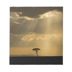 Ein mystischer Sonnenuntergang bei der Rückkehr in Notizblock