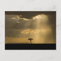 Ein mystischer Sonnenuntergang bei der Rückkehr in
