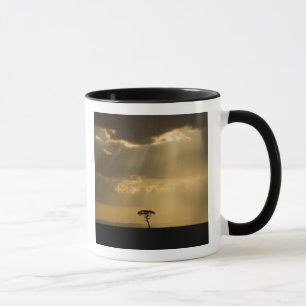 Ein mystischer Sonnenuntergang bei der Rückkehr in Tasse
