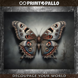 Ein nächtlicher Mottenschmetterling, wie Ihre Geda Seidenpapier