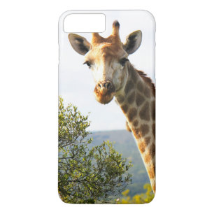 Ein Nahaufnahme-Foto eines männlichen Giraffen auf iPhone 8 Plus/7 Plus Hülle