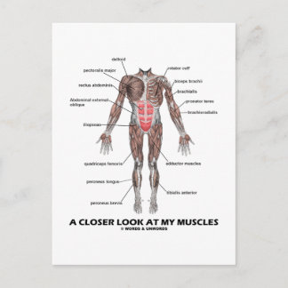 Ein Näherer Blick auf meine Muskeln (Anatomie / an Postkarte