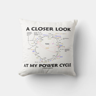 Ein Näherer Blick auf meinen Power Krebs Cycle Kissen