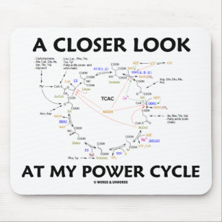 Ein naherer Blick auf meinen Power-Zyklus (Krebs Mousepad