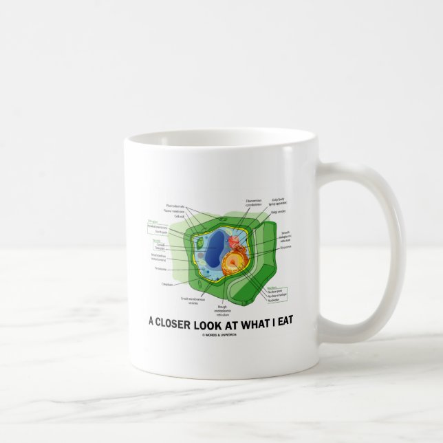 Ein naherer Blick auf, was ich esse Kaffeetasse (Rechts)
