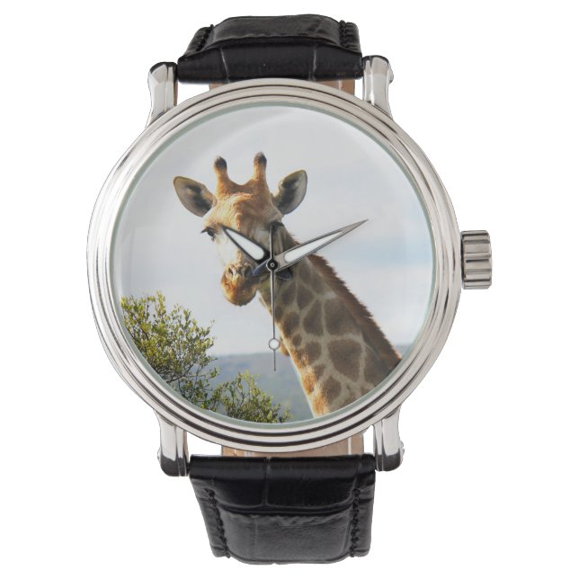 Ein nahes Foto einer männlichen Giraffe auf Safari Armbanduhr (Vorderseite)