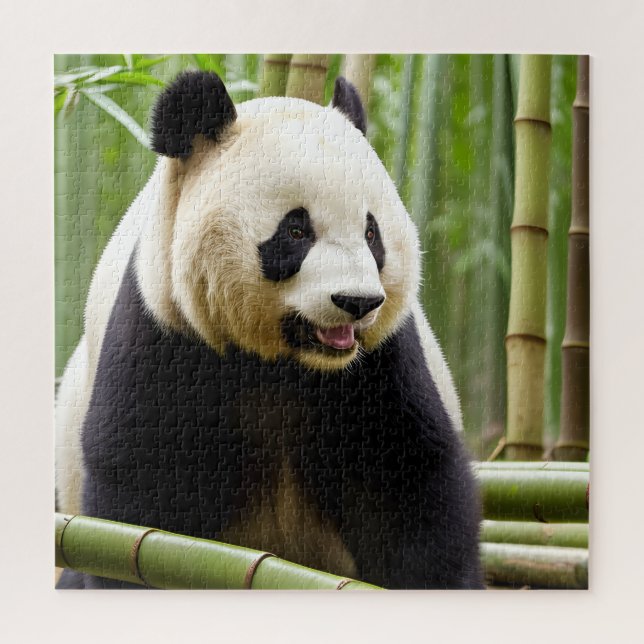 Ein Nahes Portrait eines Panda Puzzle (Vertikal)