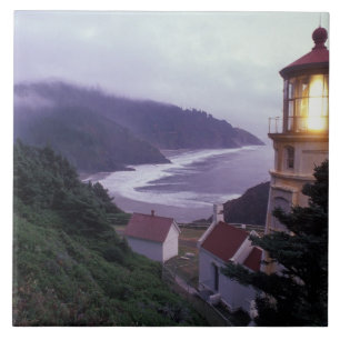 Ein nebliger Tag an der Oregon-Küste bei Heceta Fliese