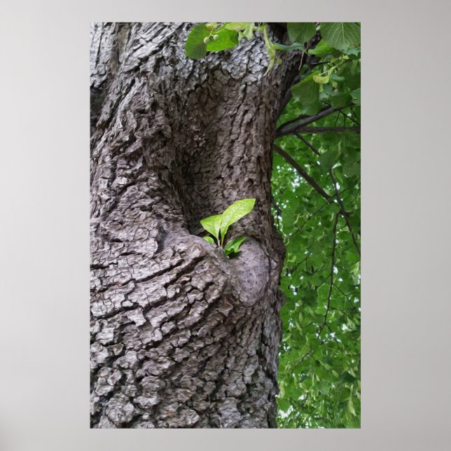 Ein neuer Zweig Poster (Vorne)