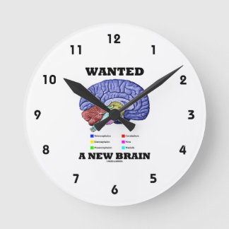 Ein neues Gehirn gewollt (anatomische Gehirnstärke Runde Wanduhr