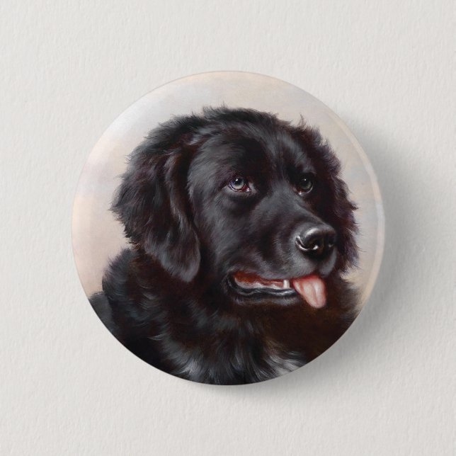 Ein Neufundländer-Knopf Button (Vorderseite)
