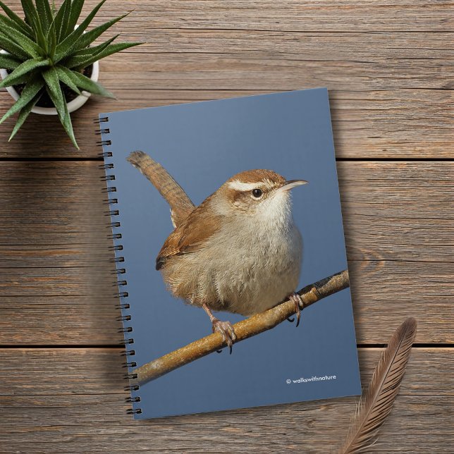 Ein neugieriger Bewick's Wren im Baum Notizblock (Curious Bewick's Wren on a Branch Journal Cover Photo)