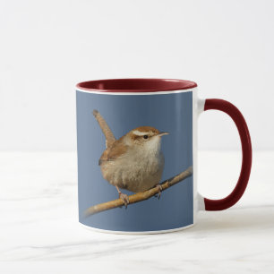 Ein neugieriger Buschzaunkönig im Baum Tasse