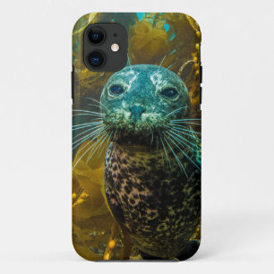 Ein neugieriger Hafen-Siegel-Kelp-Wald Santa Case-Mate iPhone Hülle