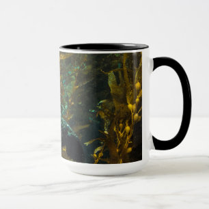 Ein neugieriger Hafen-Siegel-Kelp-Wald Santa Tasse