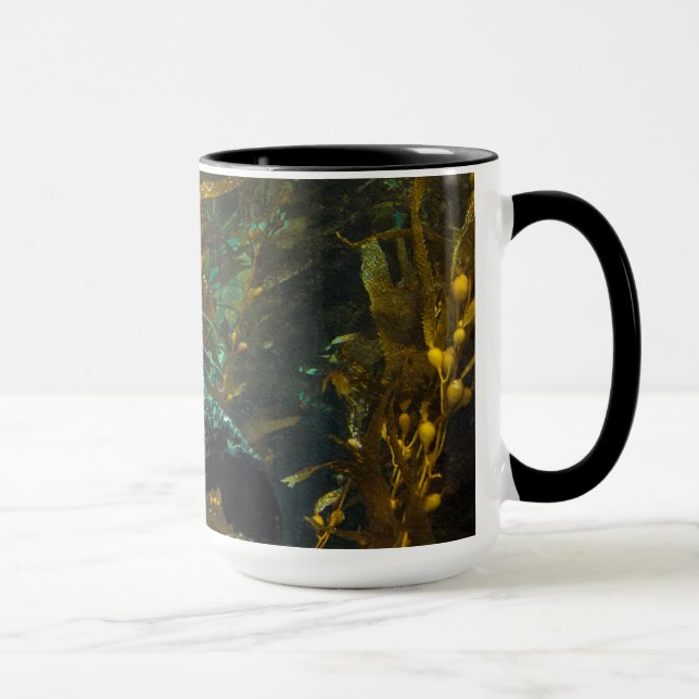 Ein neugieriger Hafen-Siegel-Kelp-Wald | Santa Tasse (Rechts)