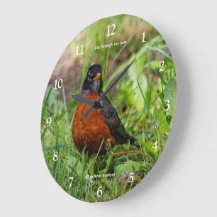 Ein neugieriger Wanderdrossel-Singvogel im Gras Große Wanduhr