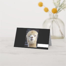 Ein niedlich flauschiges Alpaca-Gesicht Platzkarte