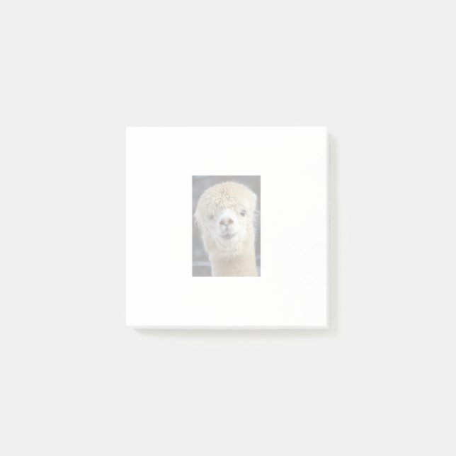 Ein niedlich flauschiges Alpaca-Gesicht Post-it Klebezettel (Vorderseite)