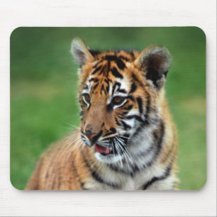 Ein niedlicher Babytiger Mousepad