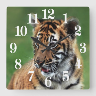Ein niedlicher Babytiger Quadratische Wanduhr