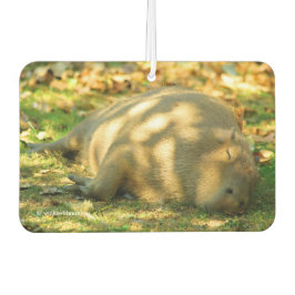 Ein Niedlicher Capybara-Traum im Sommer Autolufterfrischer