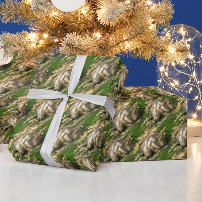 Ein Niedlicher Capybara-Traum im Sommer Geschenkpapier (Feiertage)