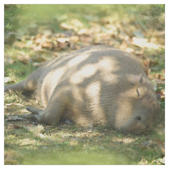 Ein Niedlicher Capybara-Traum im Sommer Stoff (Muster)