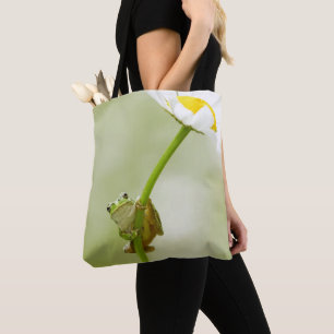 Ein niedlicher Frosch