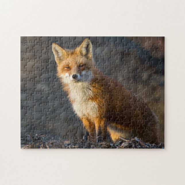 Ein Niedlicher kleiner Fuchs Puzzle (Horizontal)