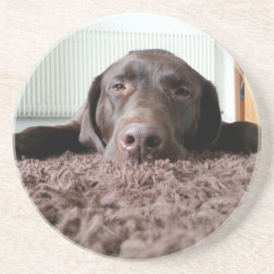 ein niedlicher Schokolade Labrador Welpe schlafen Getränkeuntersetzer