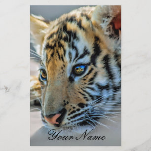 Ein niedlicher Tiger