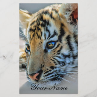 Ein niedlicher Tiger