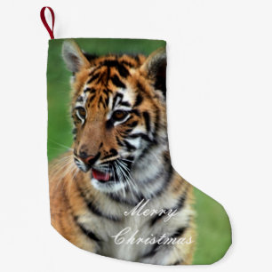 Ein niedlicher Tiger Kleiner Weihnachtsstrumpf