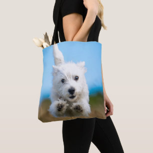 Ein niedlicher Westhochland-Terrier-Welpen-Betrieb