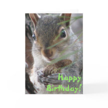 Ein Niedliches Eichhörnchen, das zum Geburtstag ei