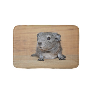 Ein niedliches graues Meerschweinchen auf Badematte