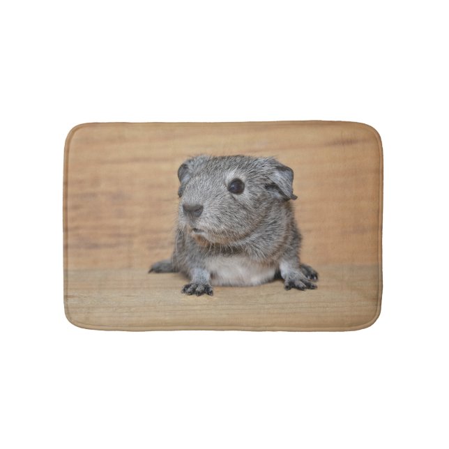 Ein niedliches graues Meerschweinchen auf Badematte (Vorderseite)