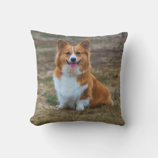 Ein niedliches Hundeschleuderkissen von Corgi Kissen (Vorderseite)