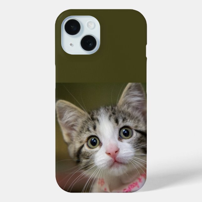 Ein niedliches Kätzchen mit grünen Augen Case-Mate iPhone Hülle (Rückseite)
