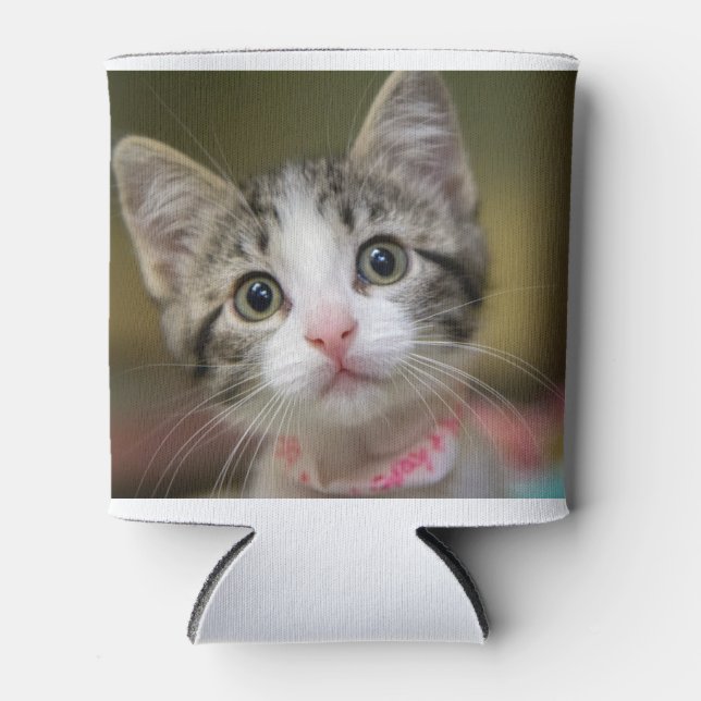 Ein niedliches Kätzchen mit grünen Augen Dosenkühler (Vorderseite)