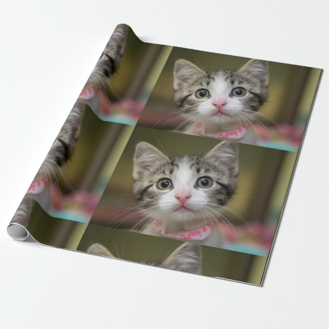 Ein niedliches Kätzchen mit grünen Augen Geschenkpapier (Ungerollt)