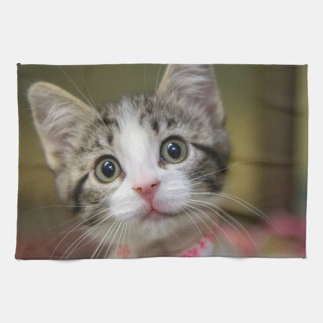 Ein niedliches Kätzchen mit grünen Augen Geschirrtuch (Horizontal)