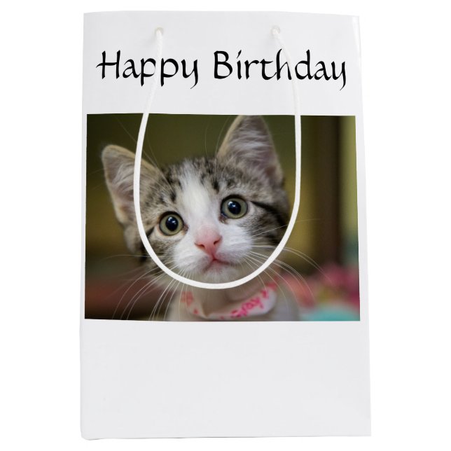 Ein niedliches Kätzchen mit grünen Augen Mittlere Geschenktüte (Vorderseite)